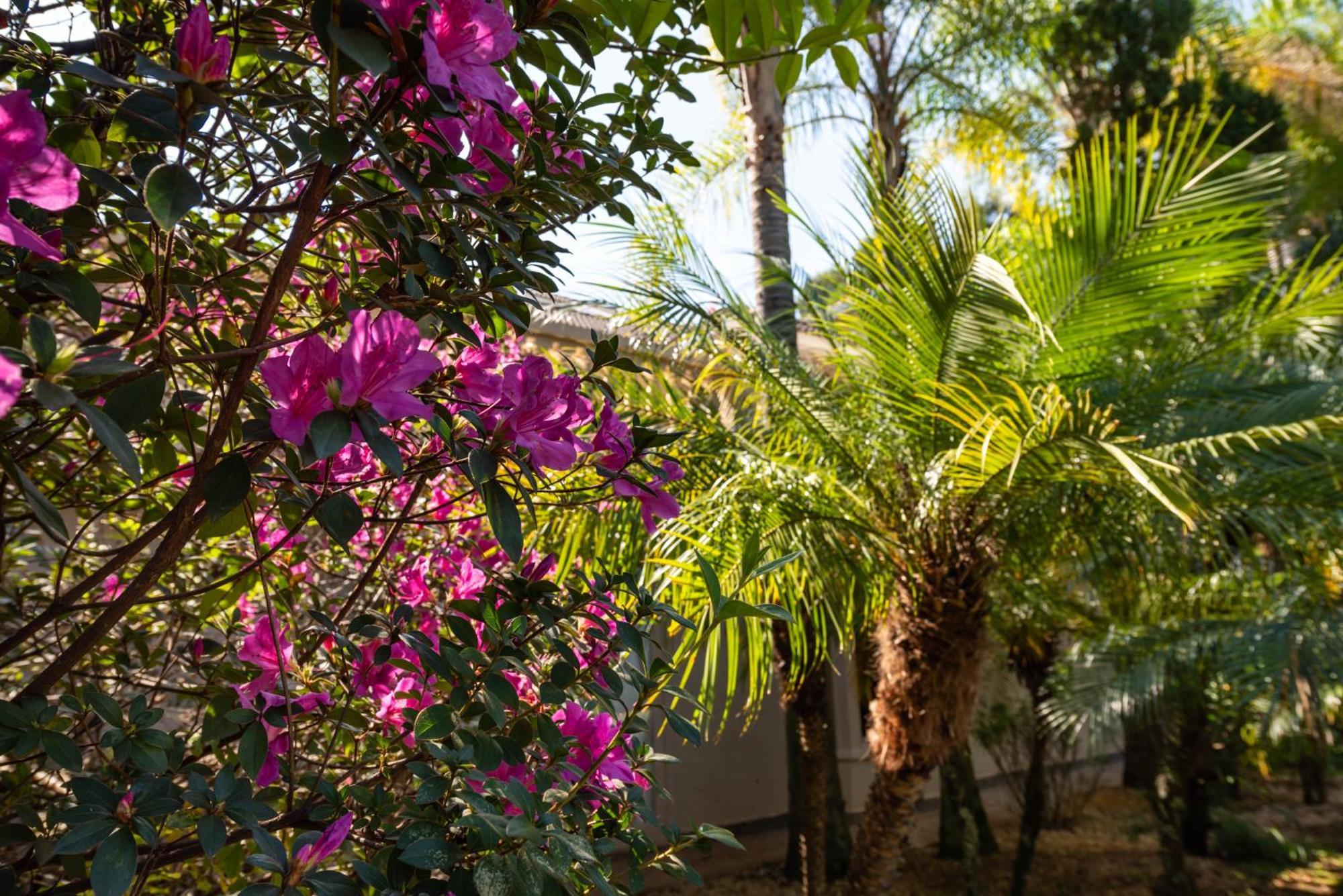 Fazenda Vila Real - Grande E Charmosa Casa De Campo Itu Bagian luar foto