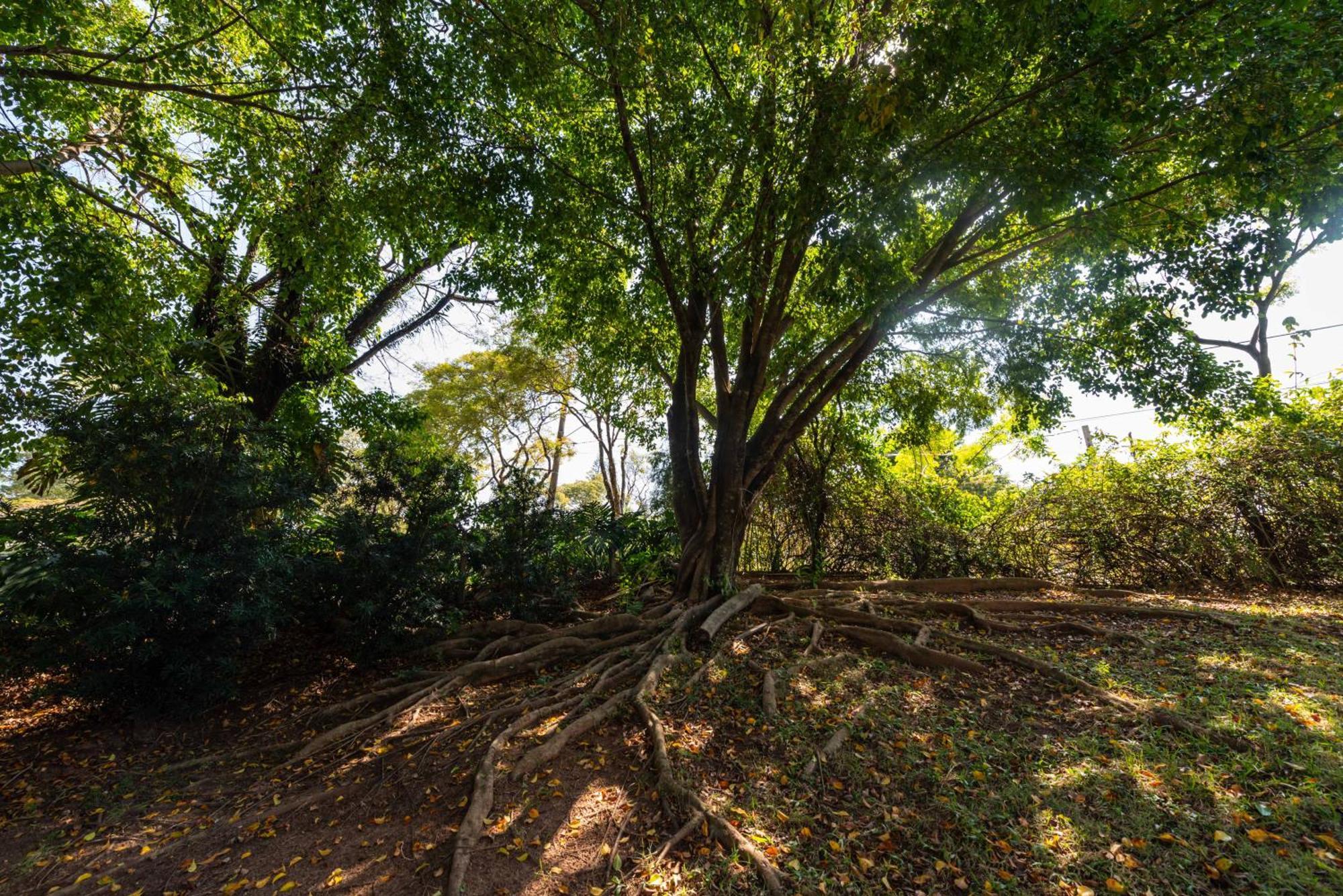 Fazenda Vila Real - Grande E Charmosa Casa De Campo Itu Bagian luar foto